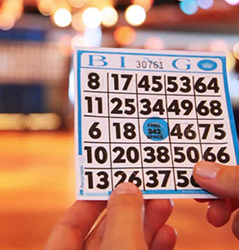 bingo2 bingo2